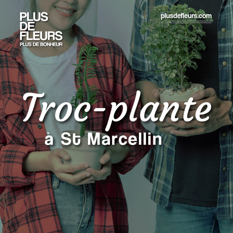 Troc plante de black friday à St marcellin en Isère