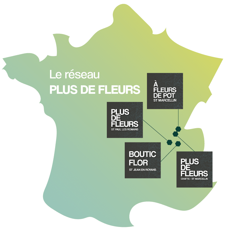 réseau de fleuristes Plus de fleurs