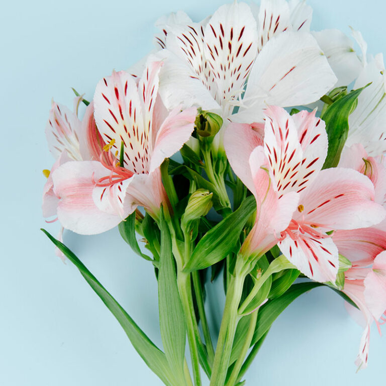 alstroemerias en bouquet