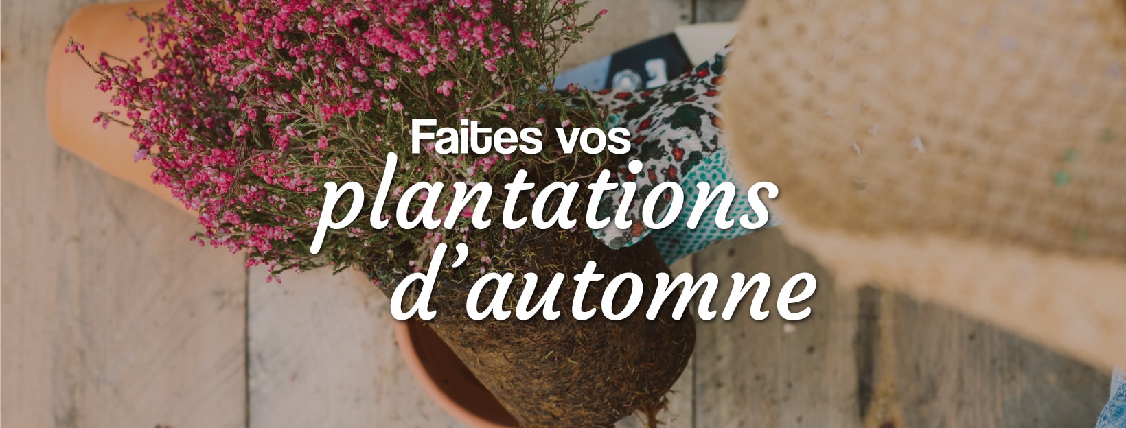 faites vos plantations d'automne