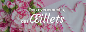 oeillets pour les mariages, anniversaires, fêtes