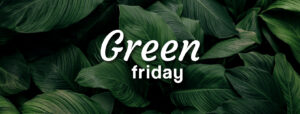 green black friday avec des plantes et des fleurs