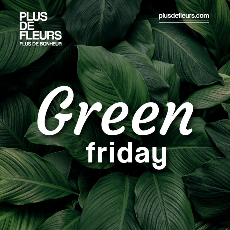 green black friday avec des plantes et des fleurs