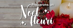 Préparons un Noël fleuri