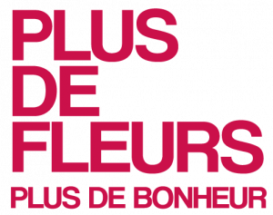 logo-plus-de-fleurs-rose