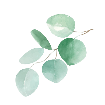 eucalyptus-2