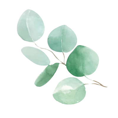 eucalyptus-3