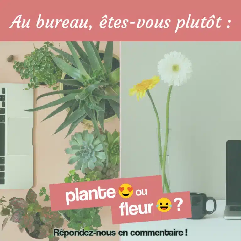 au bureau vous êtes plus plante ou fleur ?