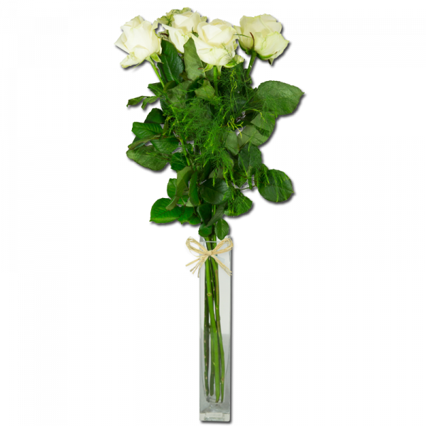 Grandes roses blanches 15 Roses Par Occasion Fleurs Saint Valentin