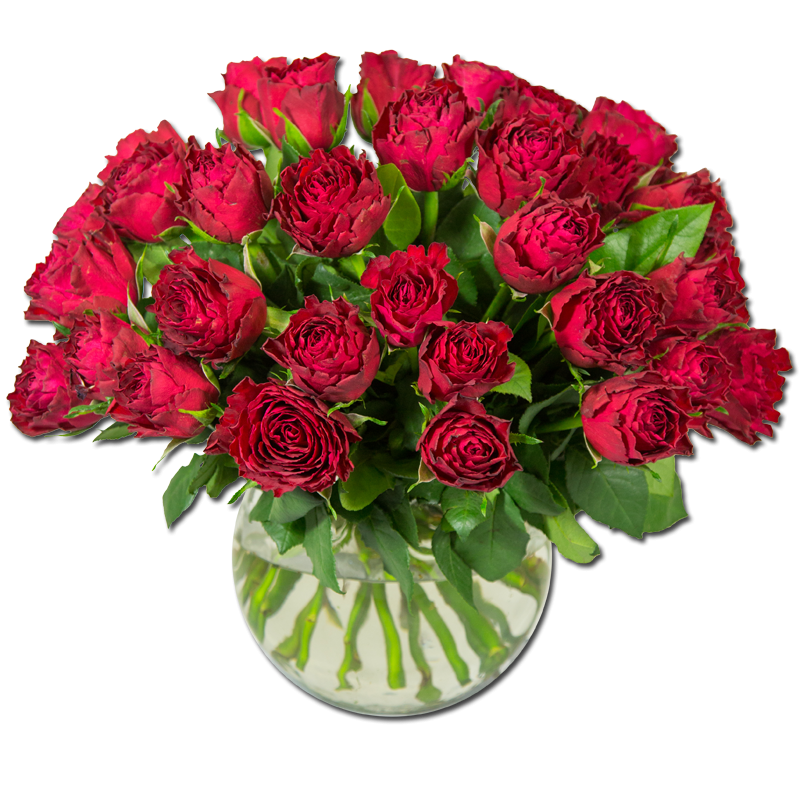Rouge Baiser 40 Roses Par Occasion Fleurs Saint Valentin