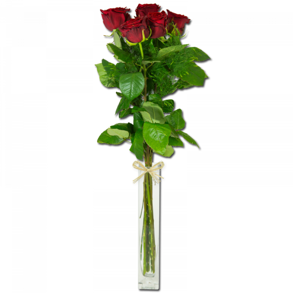 Rouge passion 15 Roses Par Occasion Fleurs Saint Valentin
