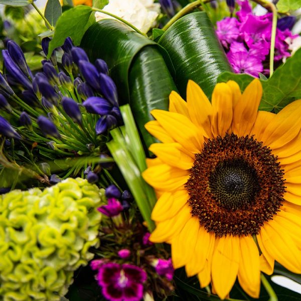 Tournesols pour la fête des mères