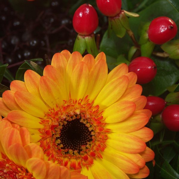 bouquet chataigne