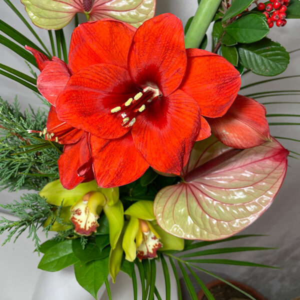 bouquet exotique en hauteur tropical