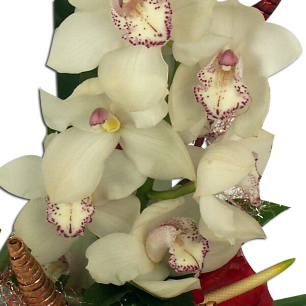 bouquet orchidée noa