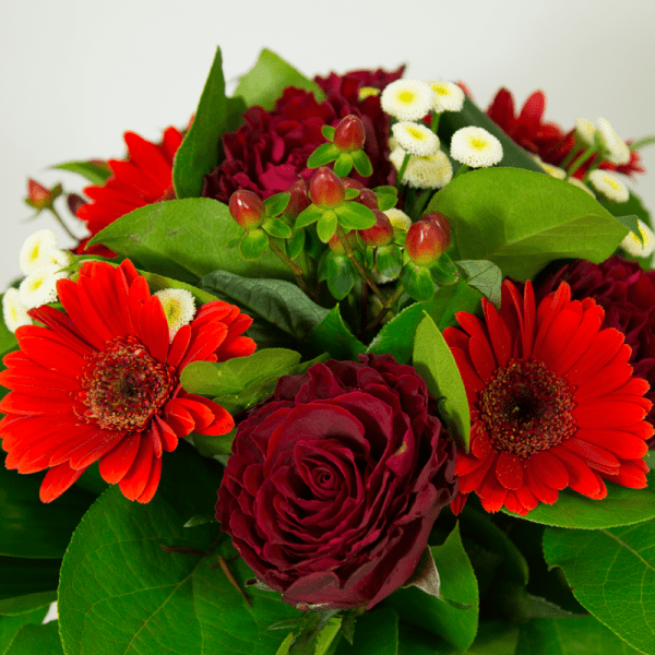fleurs rouges st valentin passion