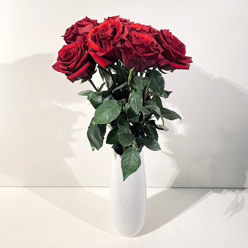 Grandes roses – Rouge passion - Plus de Fleurs