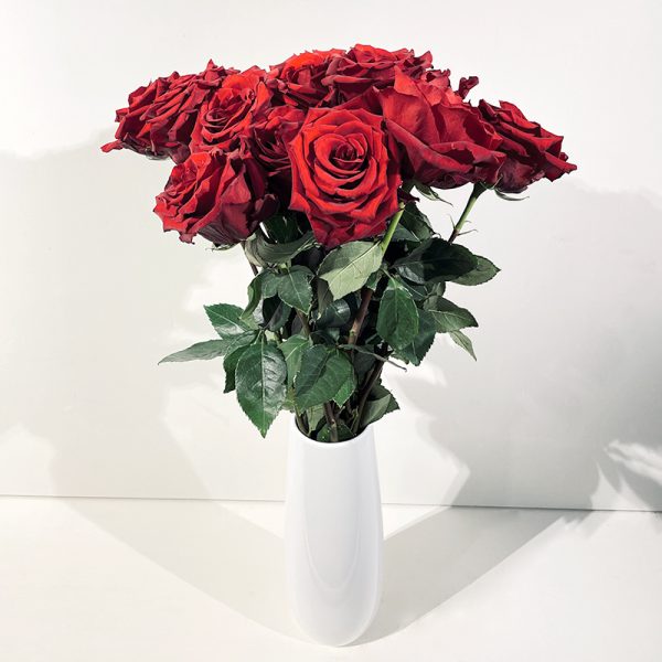 Grandes roses rouges à très gros boutons st valentin