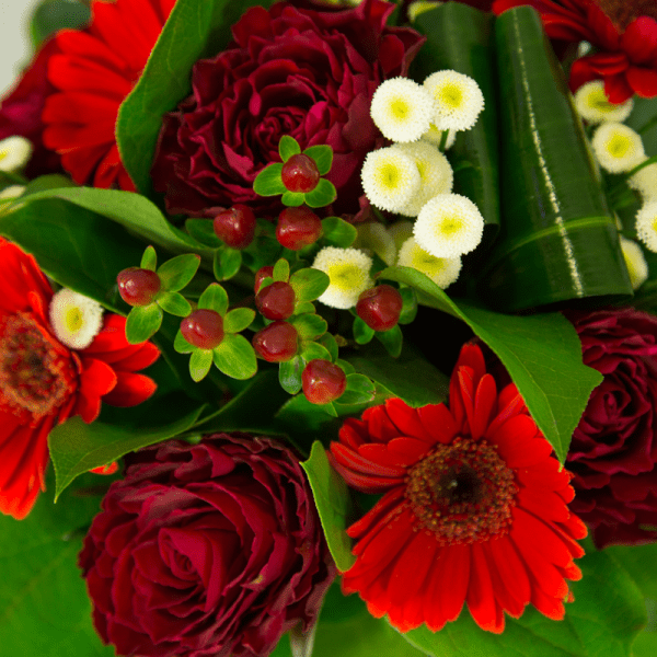passion fleurs