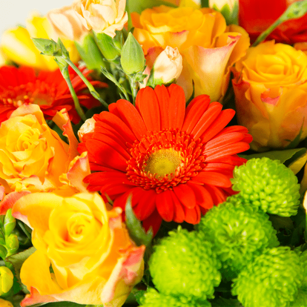aurore bouquet de fleurs automne