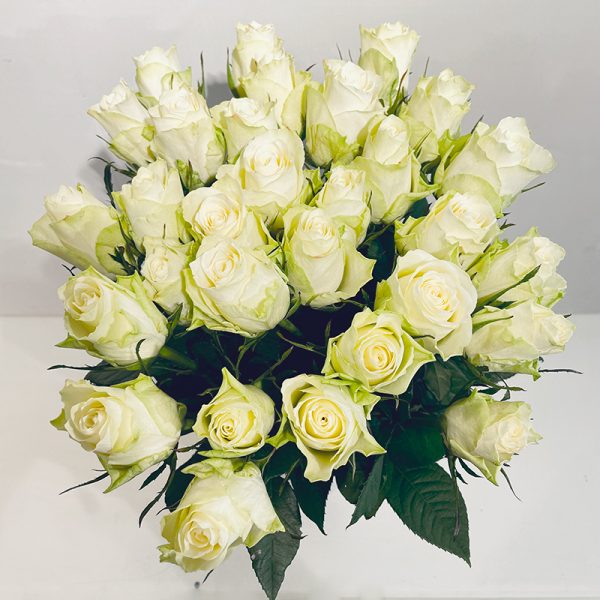 symphonie de roses blanc pur