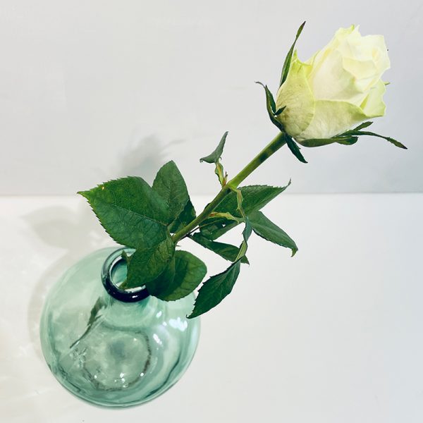 symphonie de roses blanche en vase