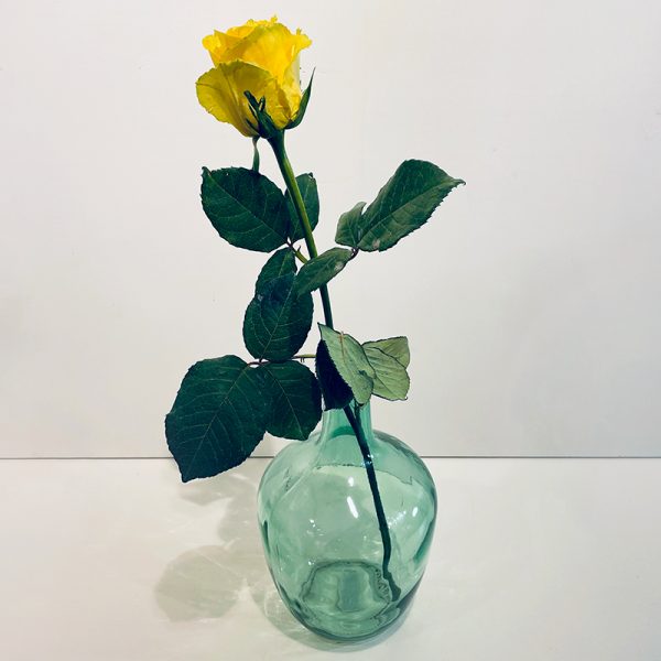 symphonie de roses jaunes en vase