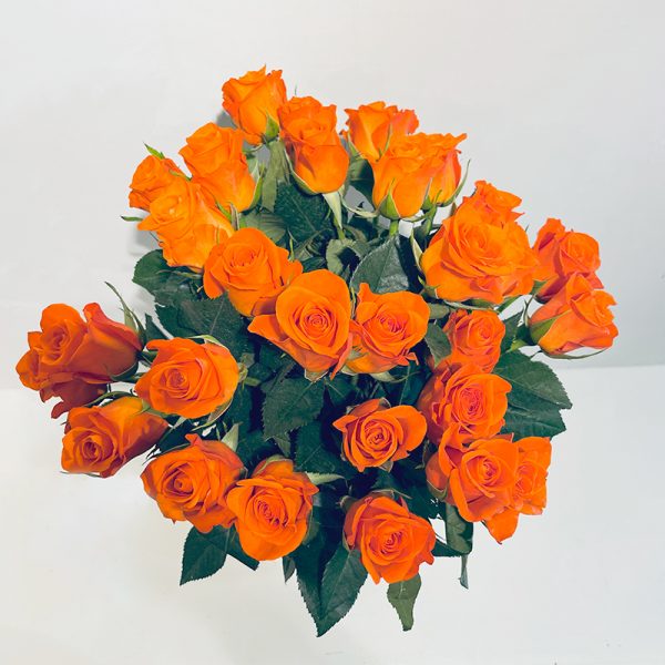 symphonie de roses oranges fleurs