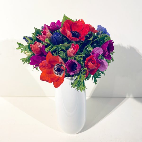 Livraison de bouquet d'anémones multicolores