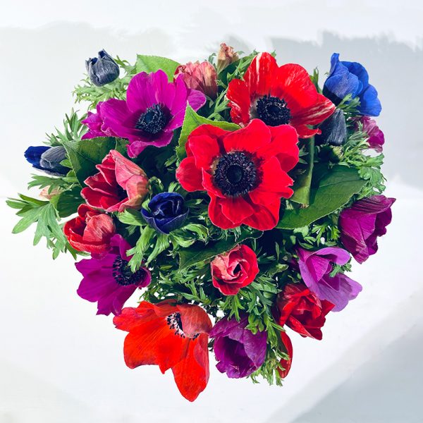 Livraison de bouquet d'anémones multicolores