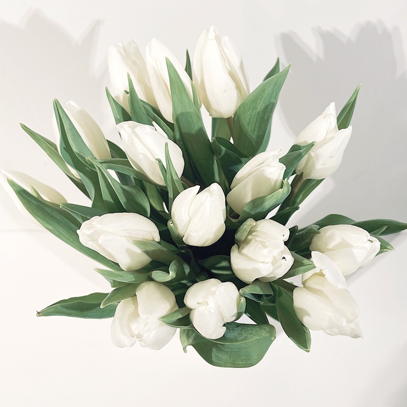 bouquet de tulipes blanches