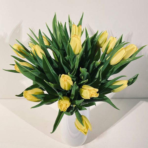 bouquet de Tulipes jaunes coupées