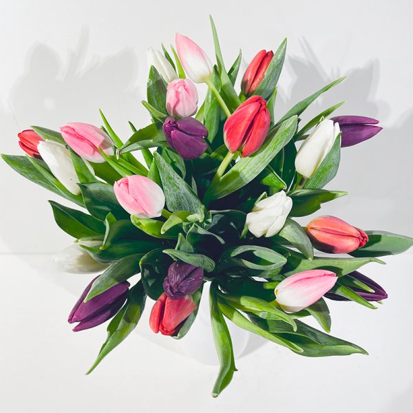 bouquet de tulipes multicolor tendresse