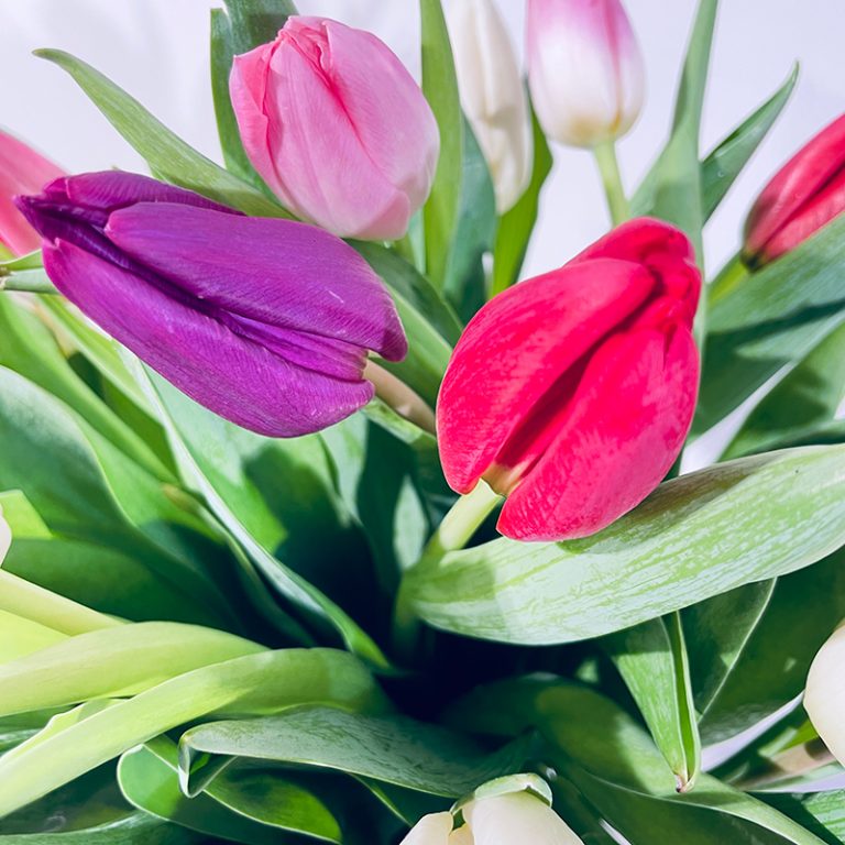 bouquet de tulipes multicolor tendresse