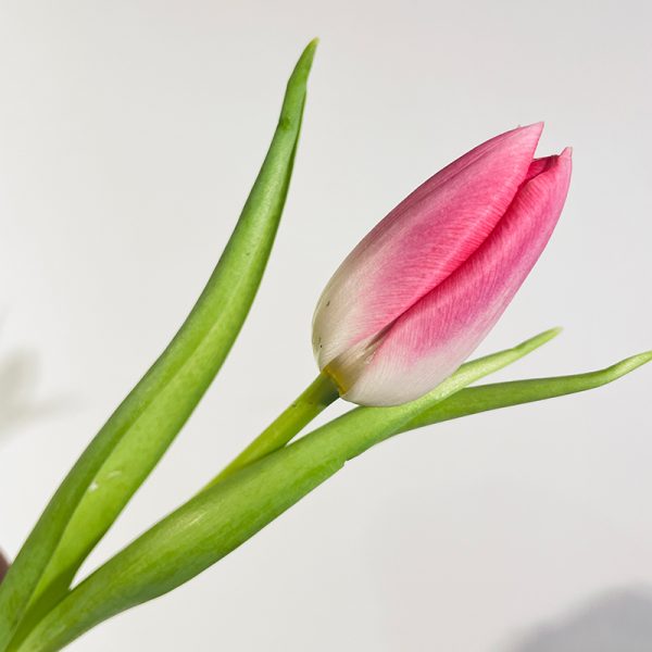 bouquet de tulipes roses pâle à offrir et à livrer