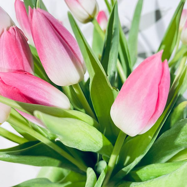 bouquet de tulipes roses pâle à offrir et à livrer