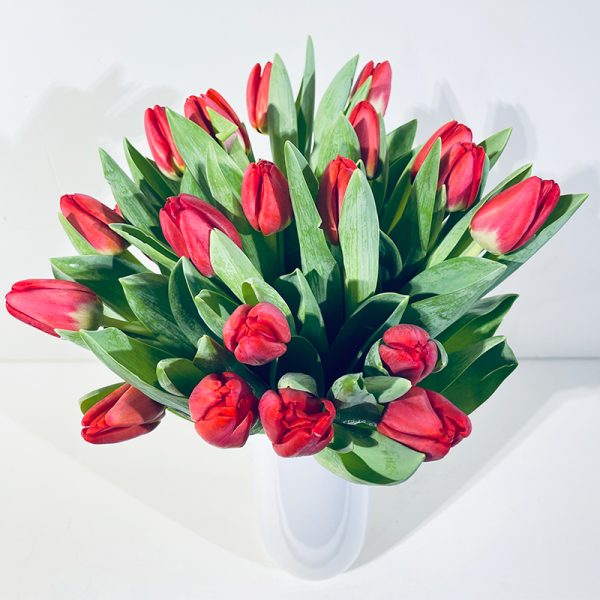 bouquet de fleurs de tulipes rouges amour sans rose