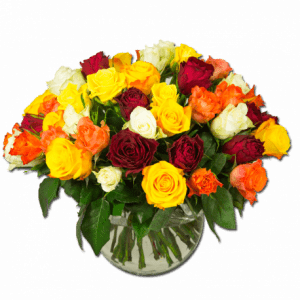 cocktail-exaltant-roses-multicolores fleurs