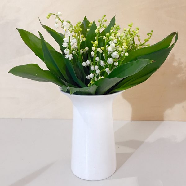 Muguet 20 brins