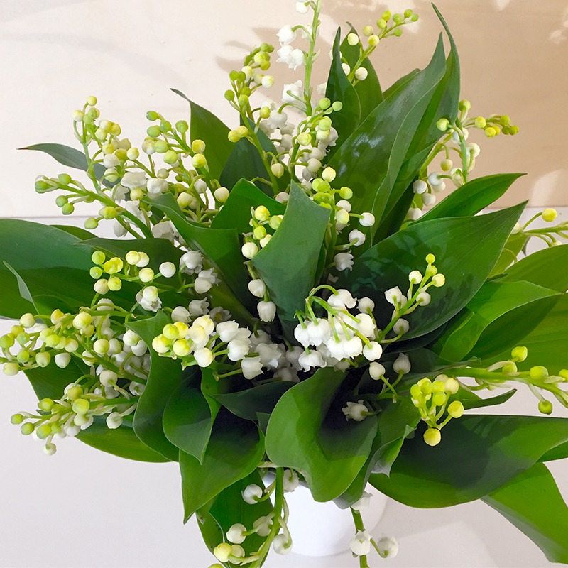 Descubra 48 kuva bouquet de muguet a envoyer - Thptnganamst.edu.vn