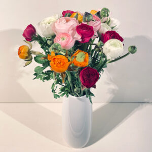 En cadeau un bouquet de renoncules variées