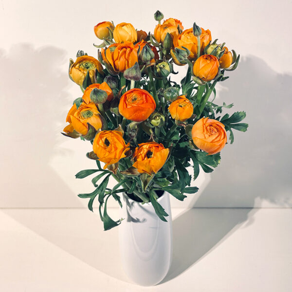 livraison de bouquet de renoncules oranges cuivrées