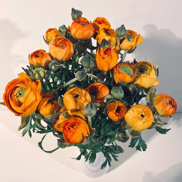 livraison de bouquet de renoncules oranges cuivrées