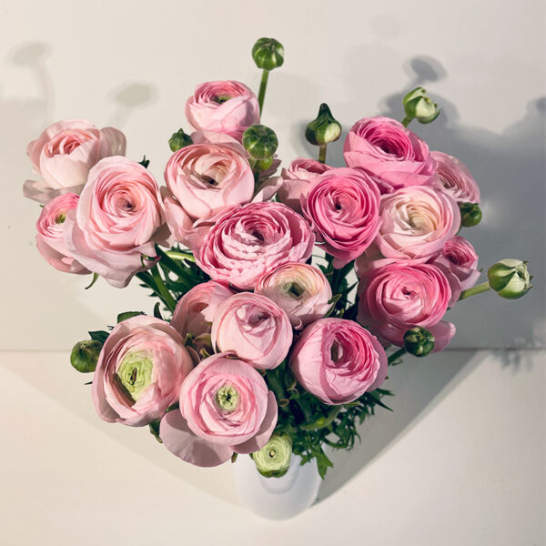 bouquet de renoncules roses pâles à offrir