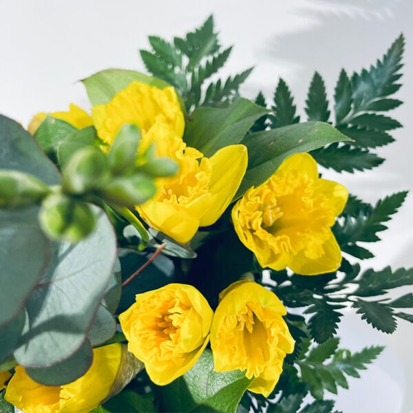 Jaunes Jonquilles - Bouquet en hauteur