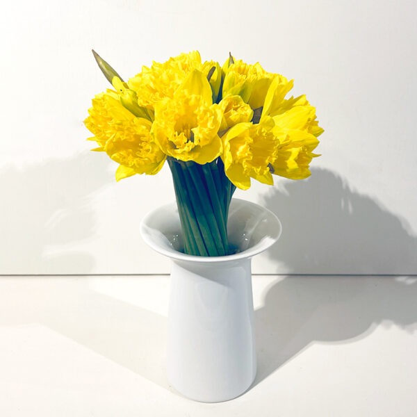 bouquet de jonquilles narcisses mamie