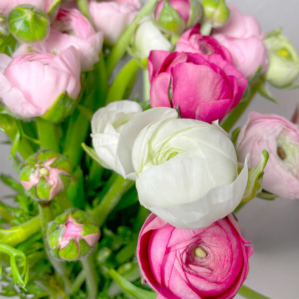 renoncules bouquet pastel du printemps à livrer en France