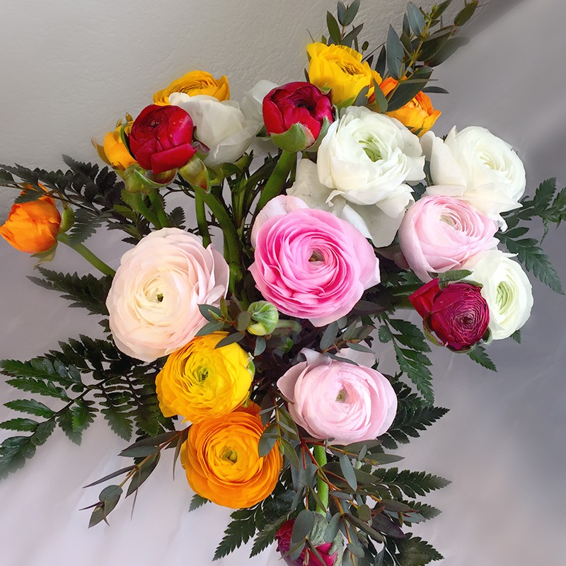 Bouquet de renoncules multicolores - Plus de Fleurs
