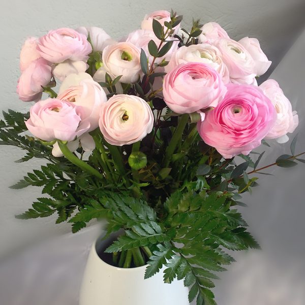 renoncules roses 20 tiges vase