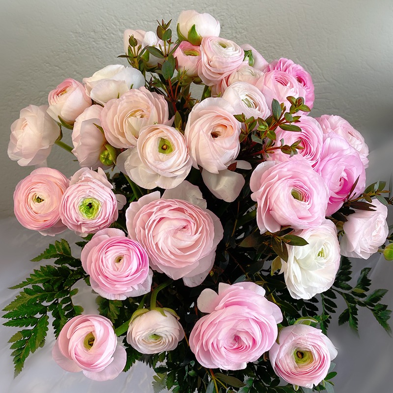 Bouquet de renoncules roses - Plus de Fleurs
